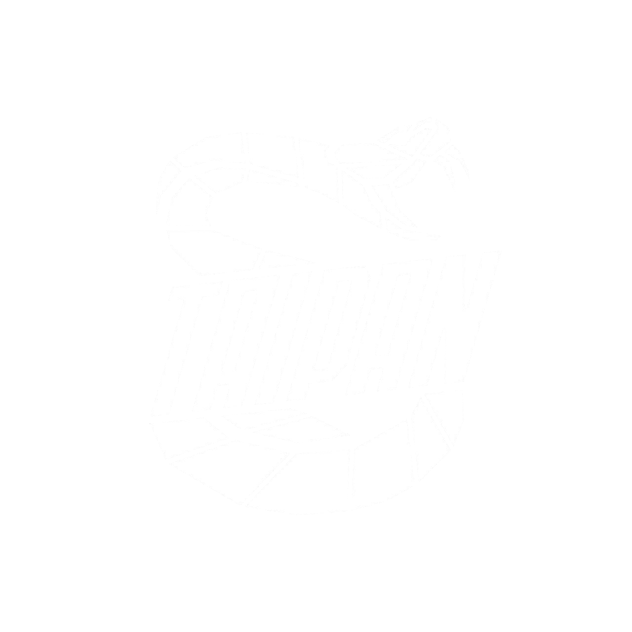Тайпан Team